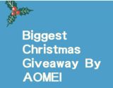 The Biggest Christmas Carnival Giveaway Giveaway